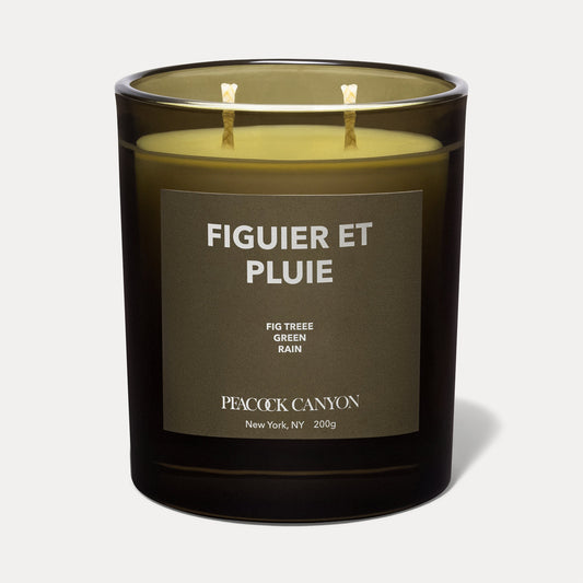 Figuier et Pluie Candle