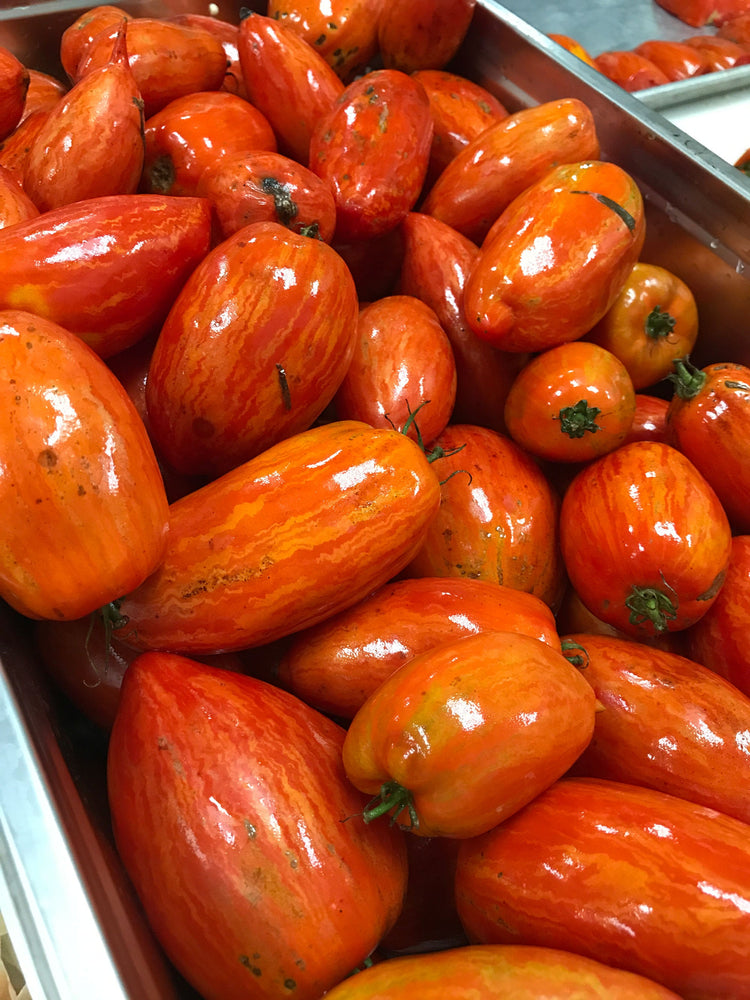 Salsa Roja