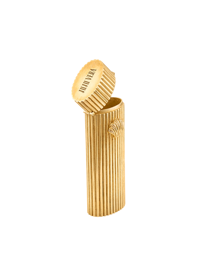 Shell Lighter Case