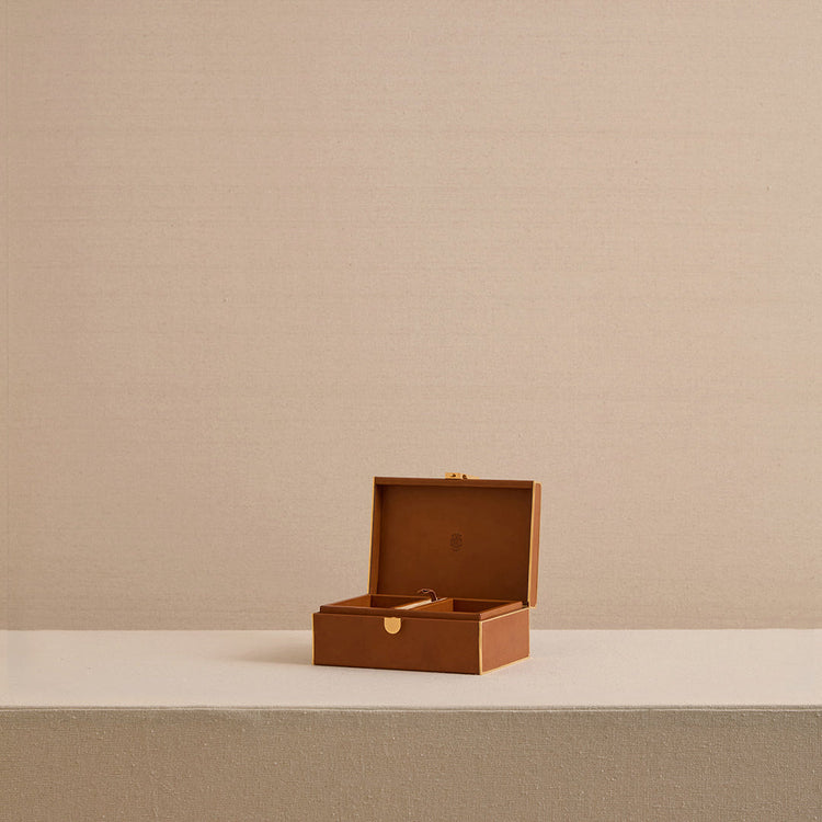 Bridge Box in Luggage