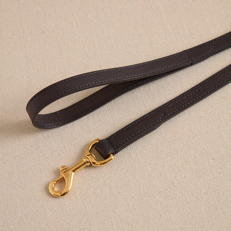 Pet Leash 15 in Black
