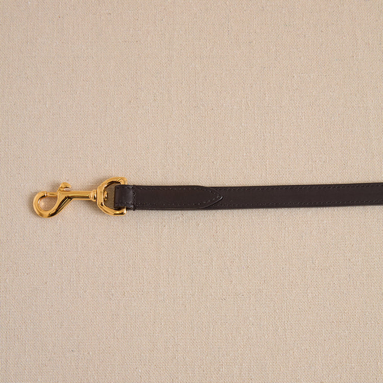 Pet Leash 15 in Black