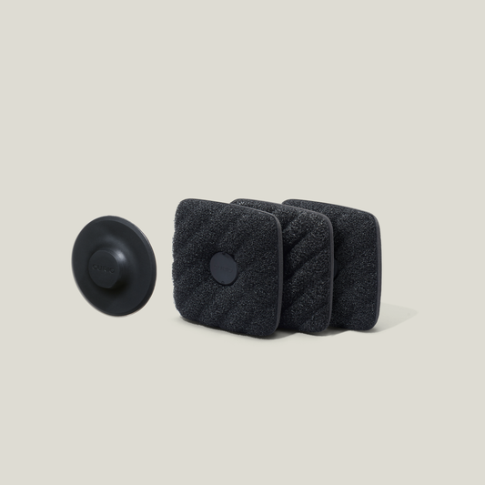 The Ionic Dish Sponge
