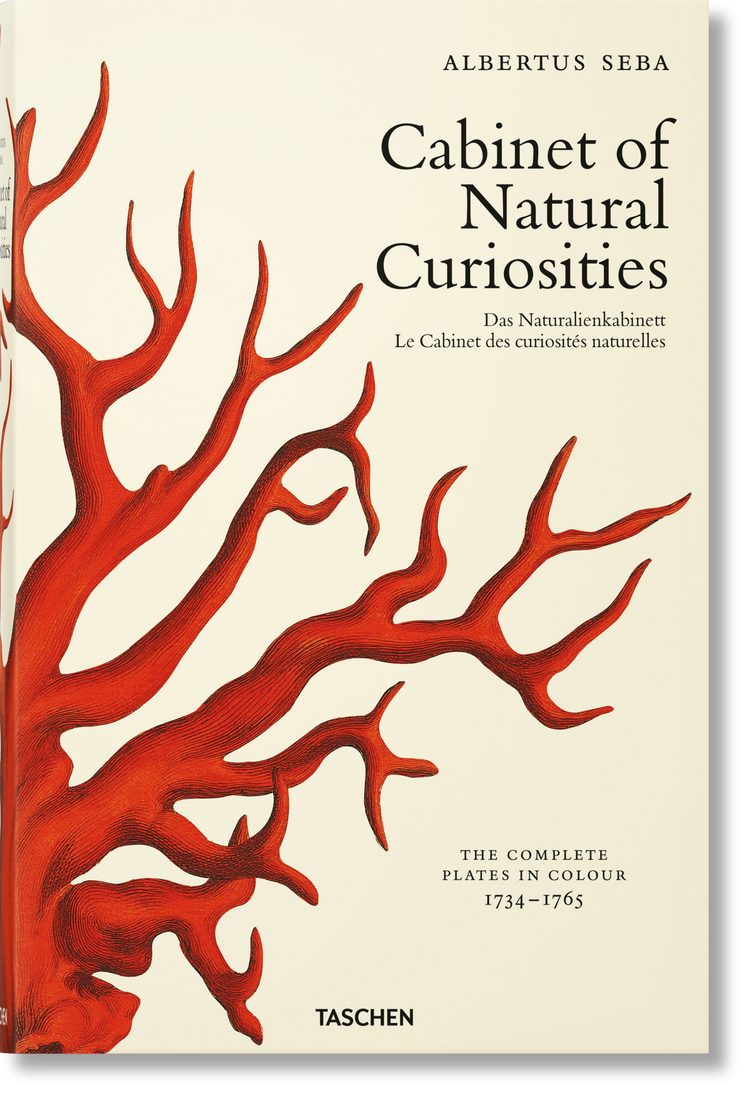 Albertus Seba. Cabinet of Natural Curiosities
