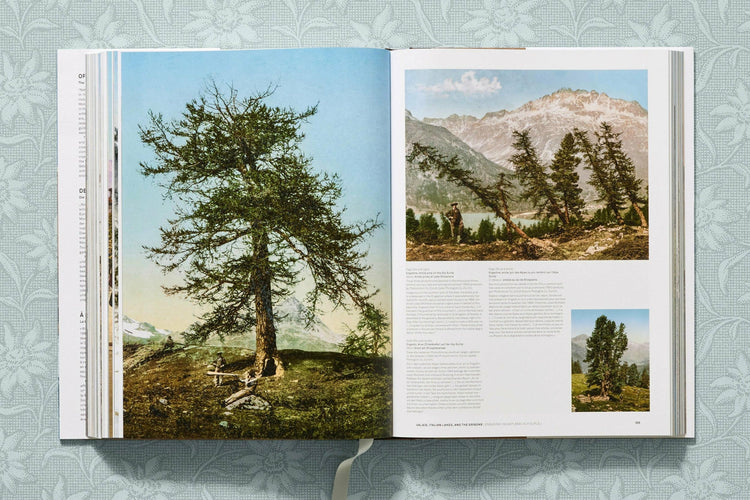 The Alps 1900: A Portrait in Color
