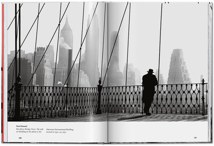 New York: Portrait of a City, by Reuel Golden