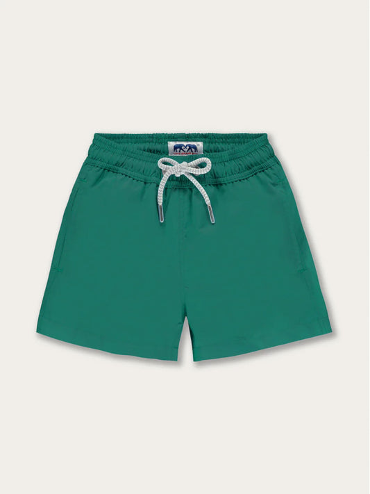 Boys’ Palm Green Staniel Swim Shorts