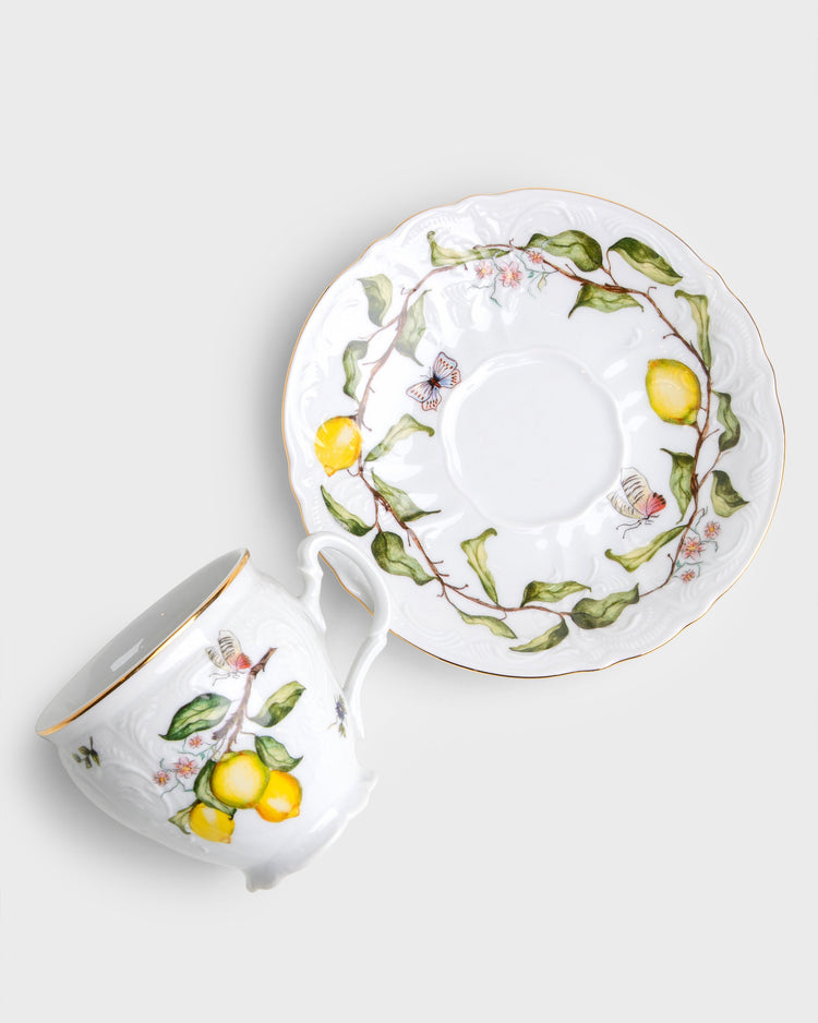 Tea Cup and Saucer in Limoeiro