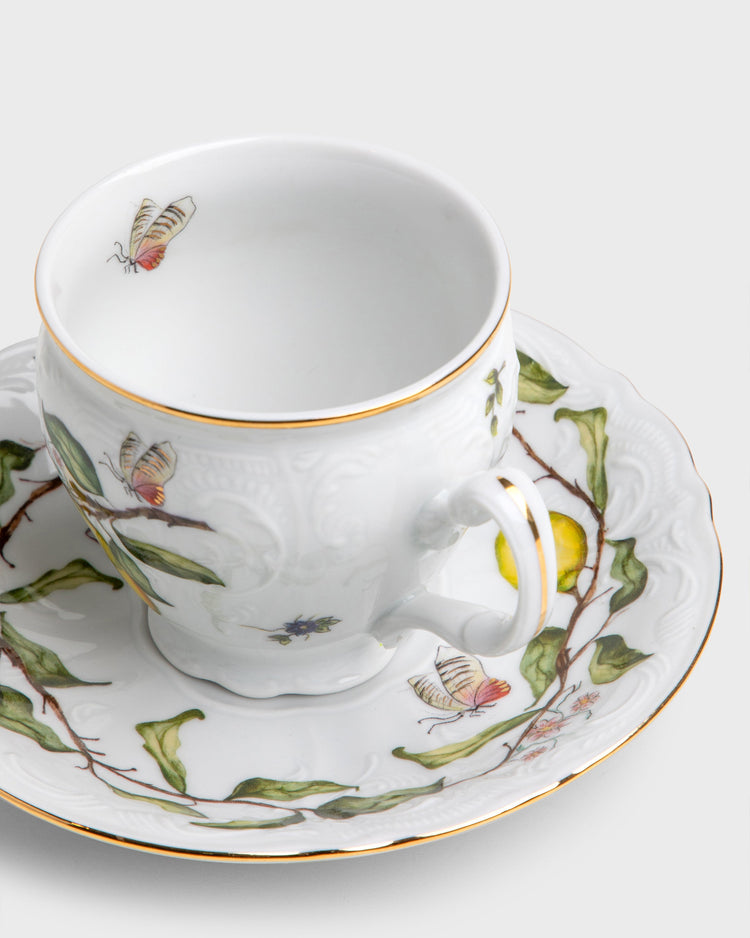 Tea Cup and Saucer in Limoeiro