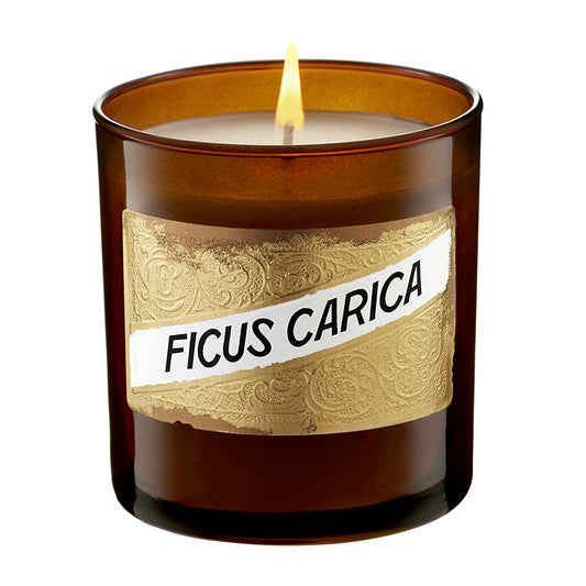 Ficus Carica Candle