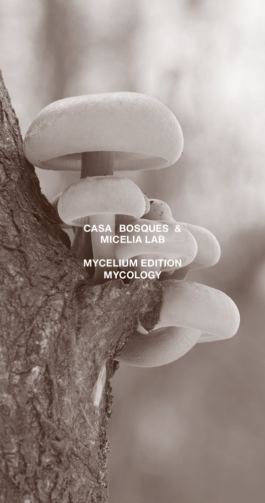 Mycelium Edition: Mycology Chocolate Bar