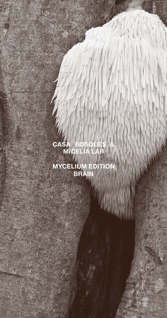 Mycelium Edition: Mycology; Brain Chocolate Bar