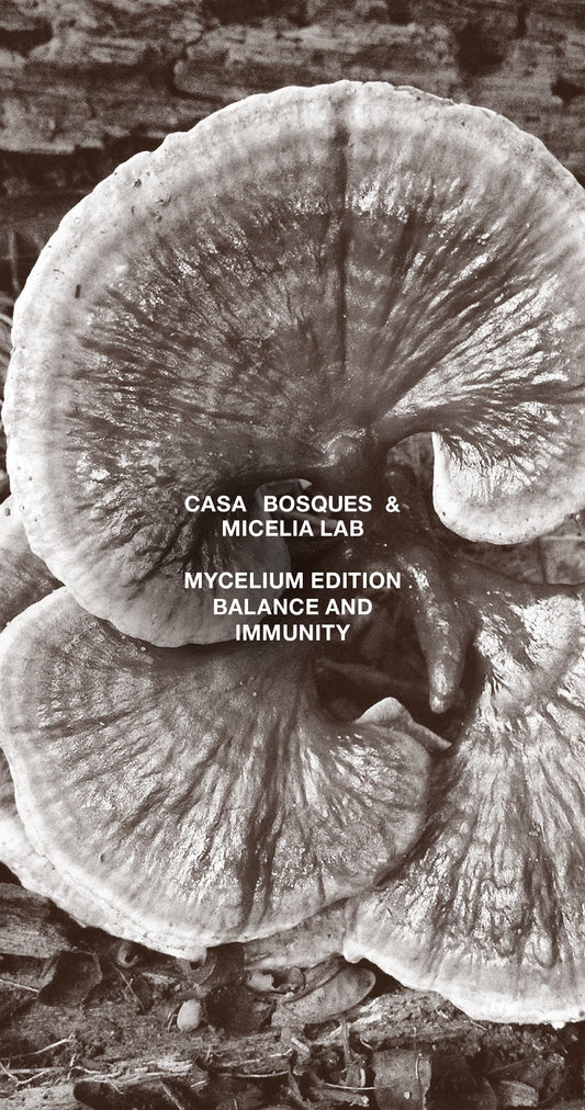 Mycelium Edition: Balance and Immunity Chocolate Bar