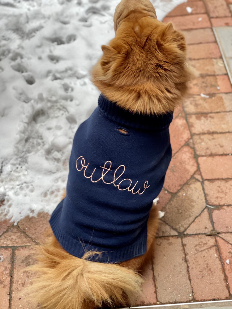 ‘Outlaw’ Dog Sweater
